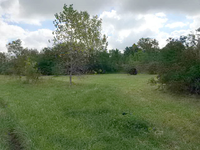 Butch Cassidy Drive-In - 2016 Photo